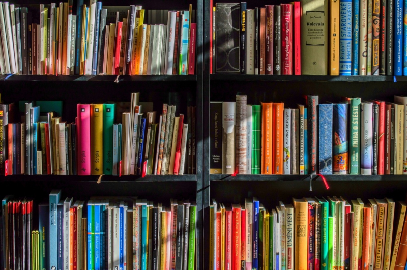 ecommerce-AIGLUN-min_books_bookstore_book_reading_shop_writer_sale_books_read-822866